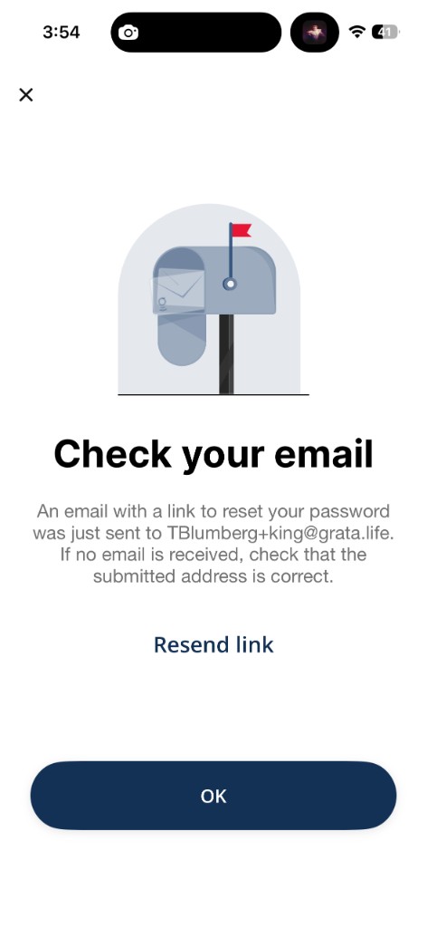 Check your email confirmation screen after password reset request